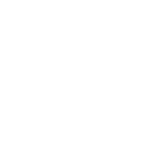 Nick Sanchez Consulting Services Logo
